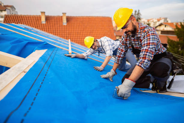 Best Shingle Roofing Installation  in Davenport, IA