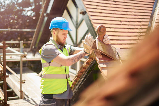 Best Roof Gutter Cleaning  in Davenport, IA