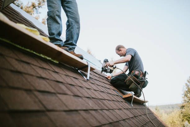 Best Commercial Roofing Services  in Davenport, IA