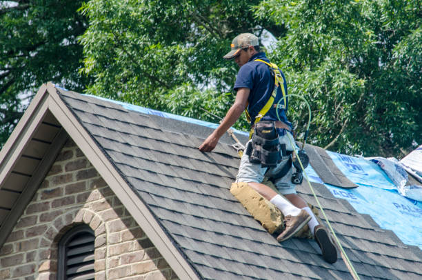 Best New Roof Installation  in Davenport, IA